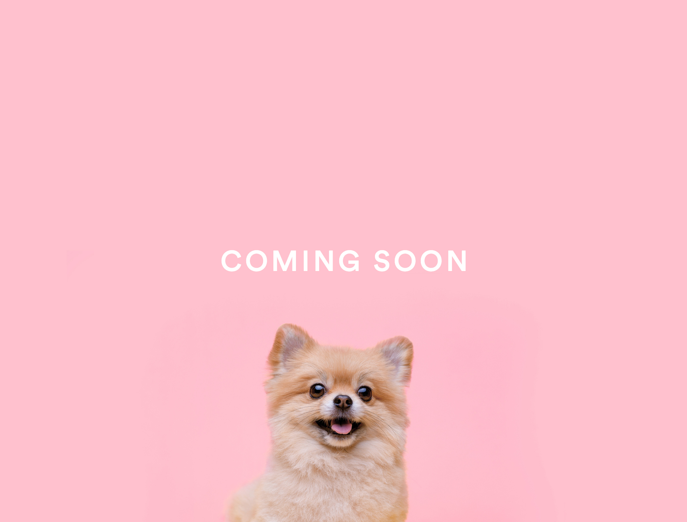 Meaghan-Dog_Placeholder