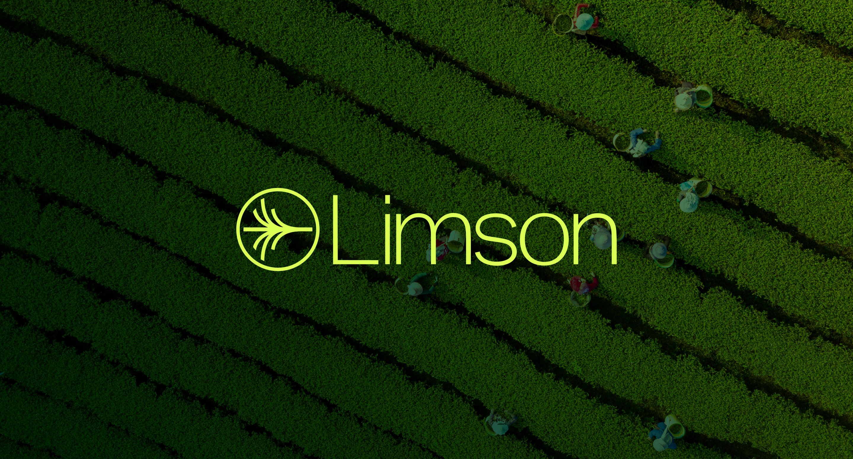 Limson