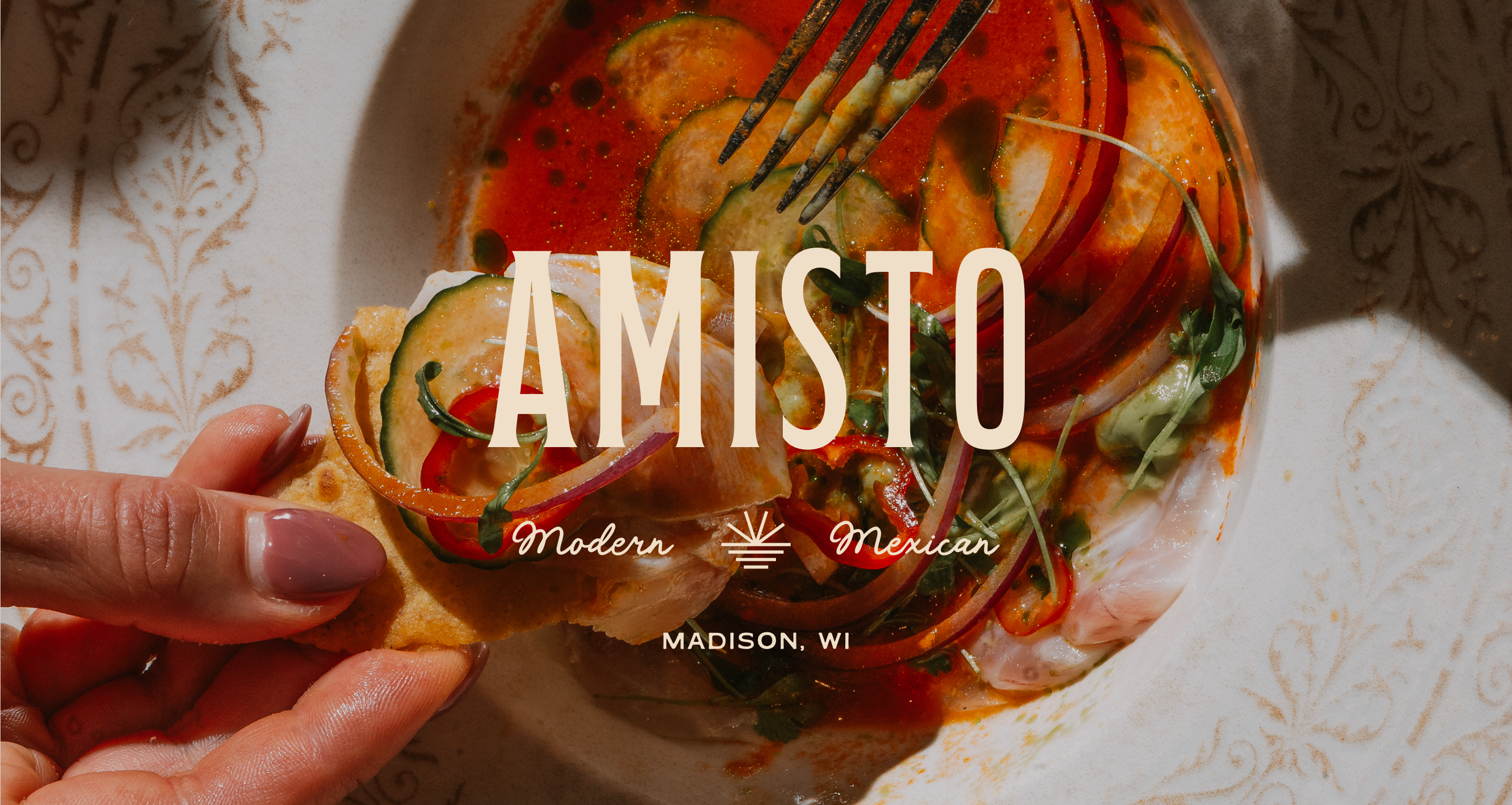 Amisto-Teaser-Hero